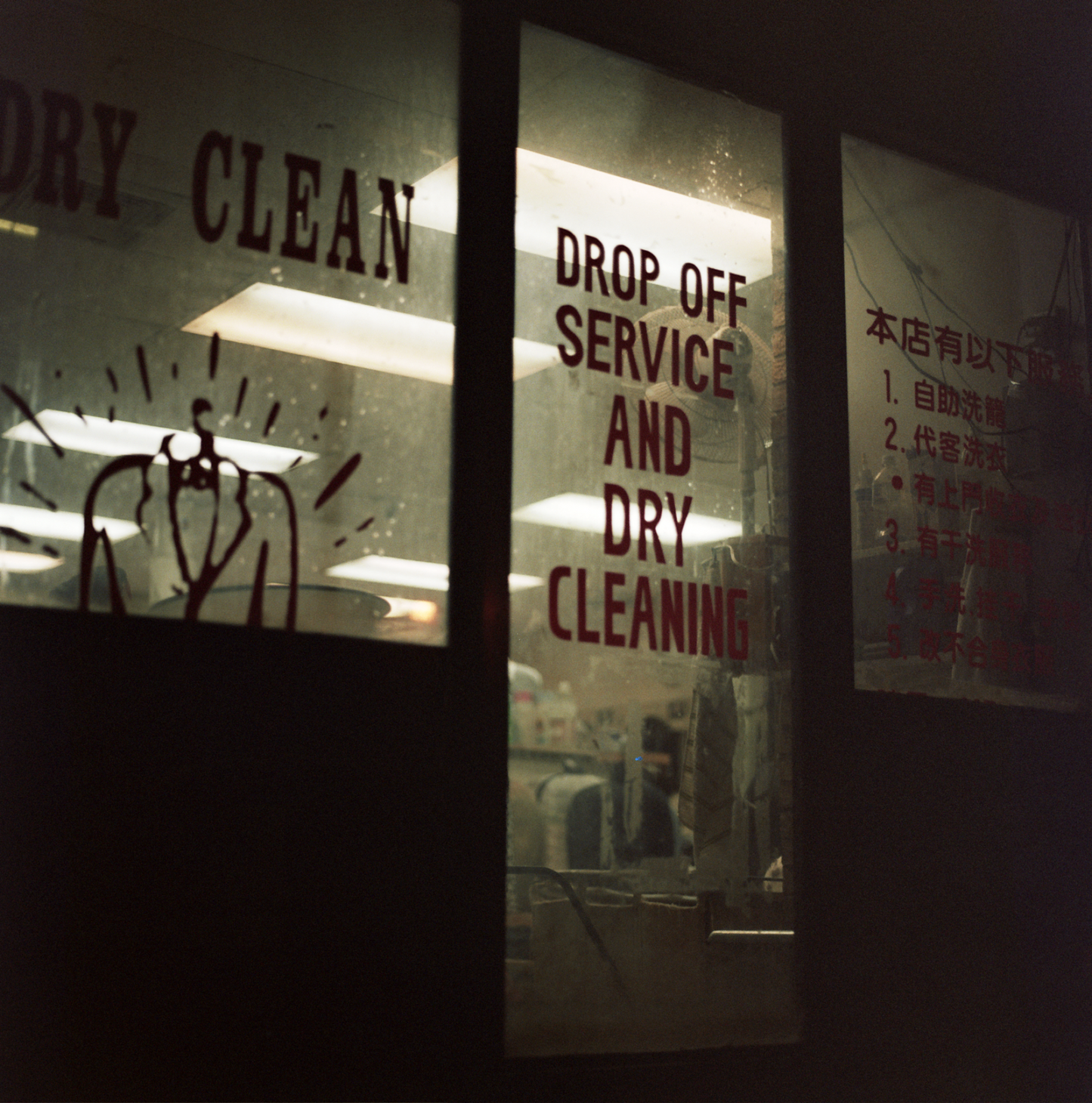 Kodak Professional Portra 800 - 120 Roll Film