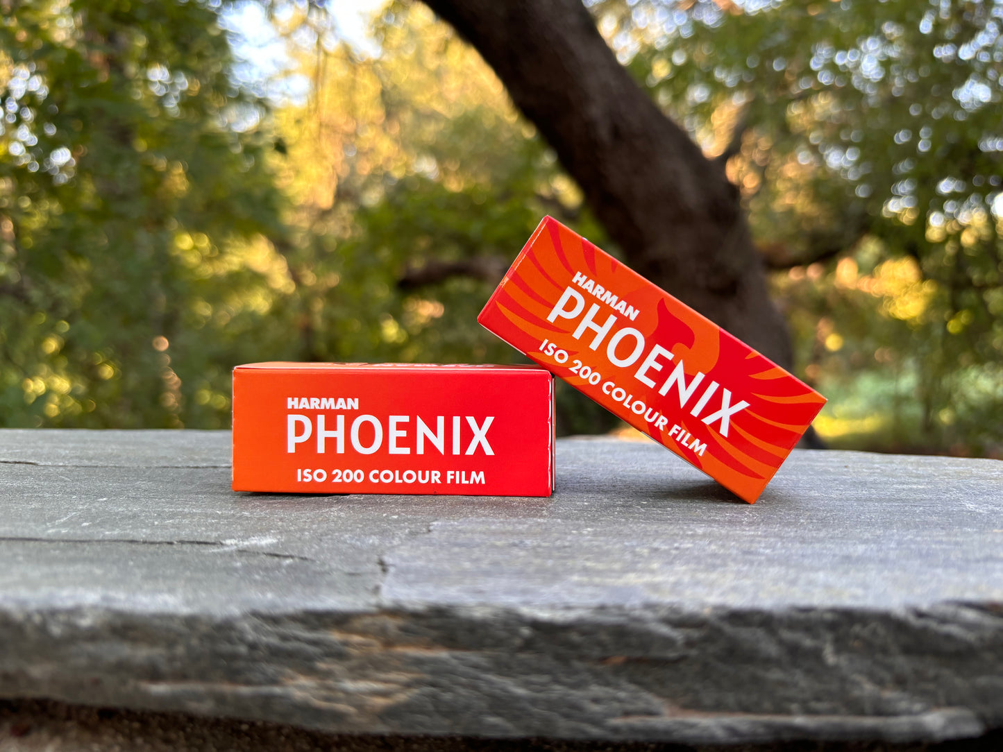 Harman Phoenix - 120 Roll Film